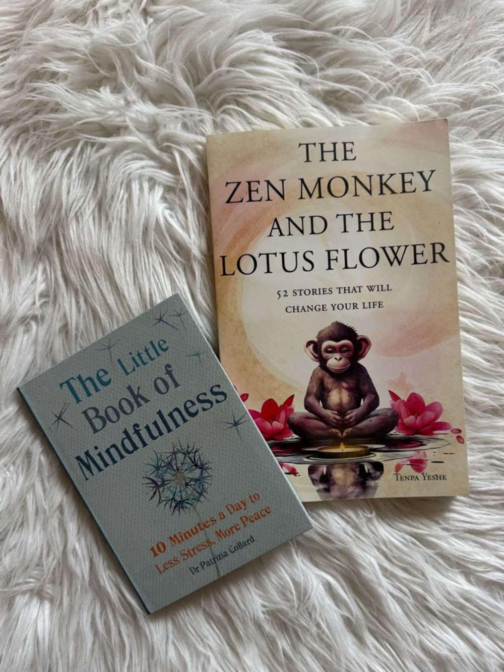 BOOK BUNDLE mindfulness, zen, stress management, Buddhism
